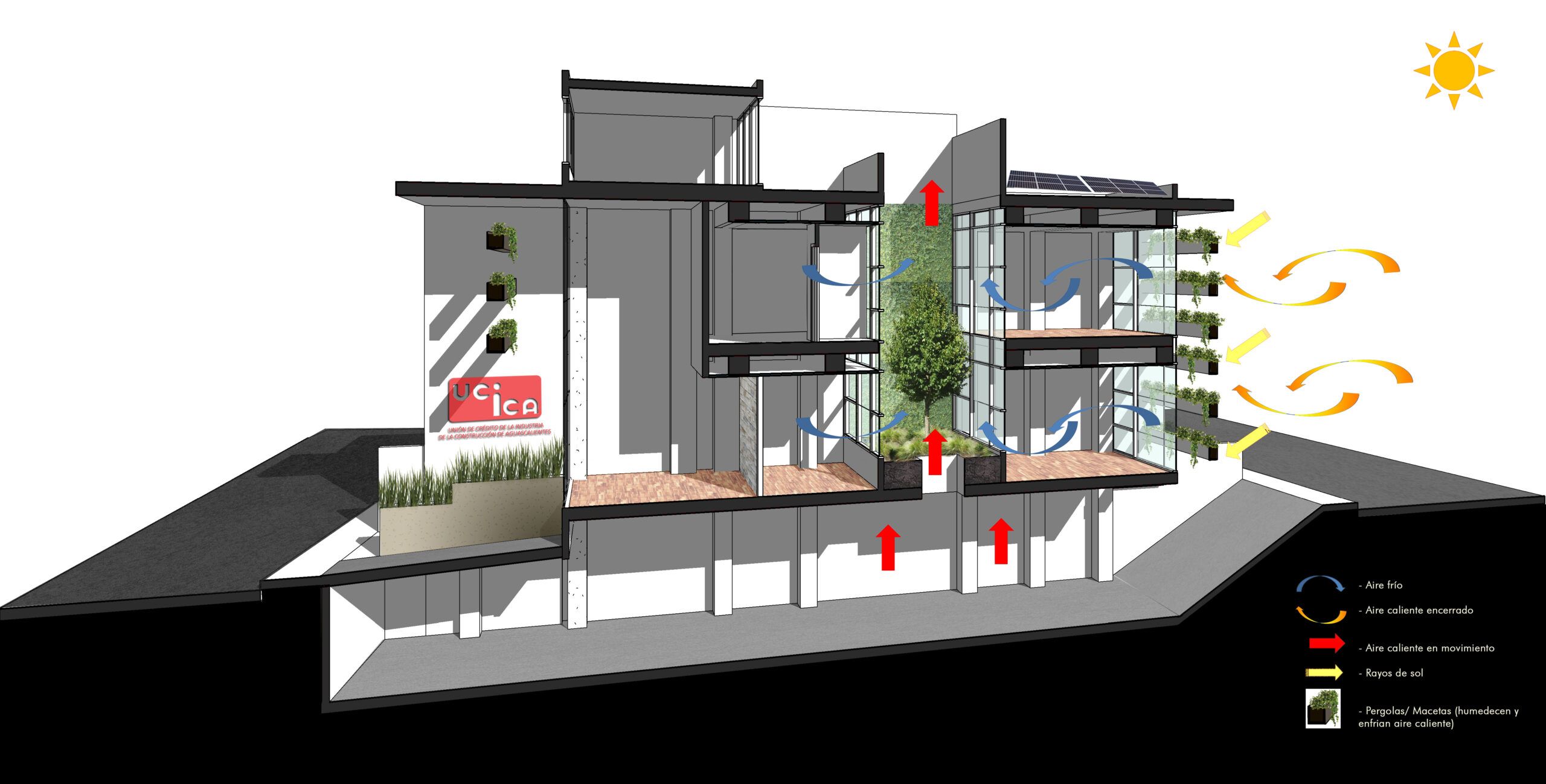 Corte Longitudinal Esquema