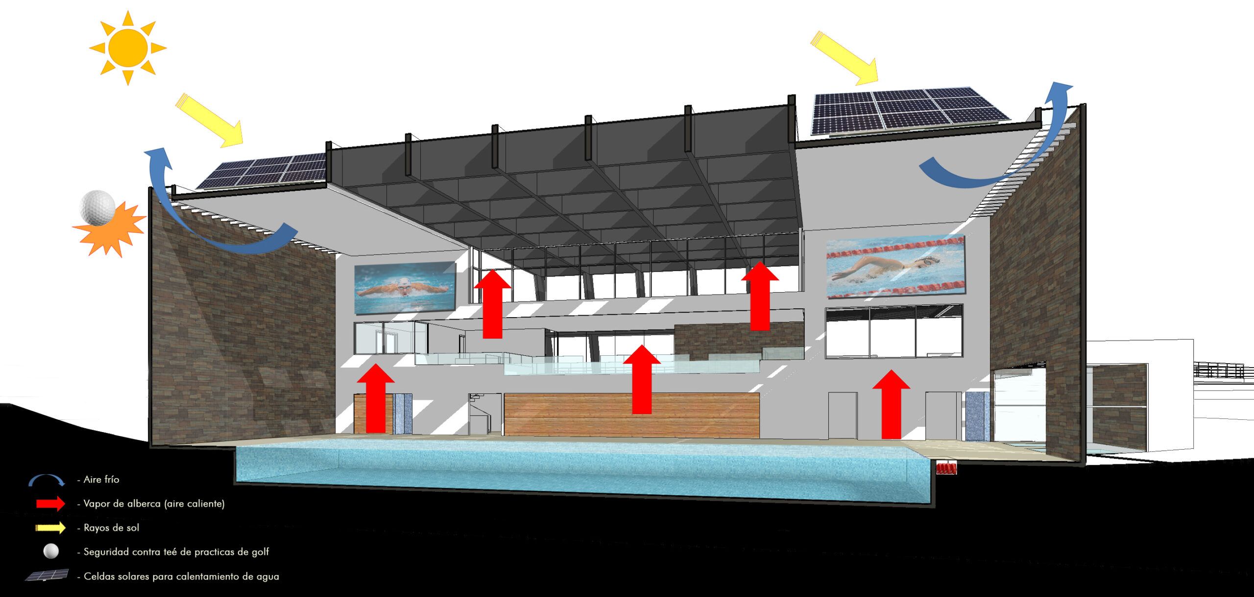 Corte Transversal Diagrama